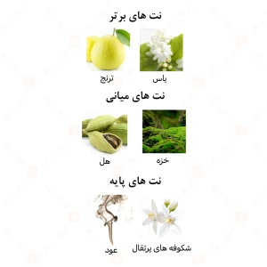 عطر یونیسکس لفلی الرحاب 6 میل