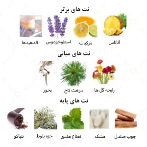 عطر مردانه لورد الرحاب 6 میل
