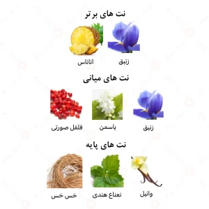 عطر زنانه لومینا الرحاب 6 میل