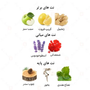 عطر مردانه لُرد اسپُرت الرحاب 6 میل