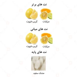عطر مردانه مستر الرحاب 6 میل
