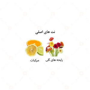 عطر زنانه ملکه الصباح الرحاب 6 میل
