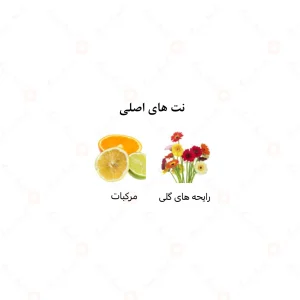 عطر زنانه میس رز الرحاب 6 میل