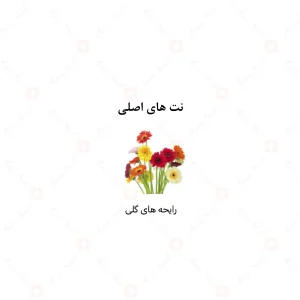 عطر زنانه پرامیس الرحاب 6 میل