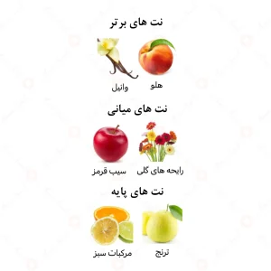 عطر یونیسکس کندی کراش الرحاب 6 میل