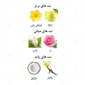 عطر زنانه گِلُوینگ نایت الرحاب 6 میل