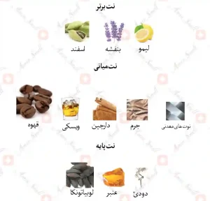 ادکلن مردانه هالوین ایکس من جانوین