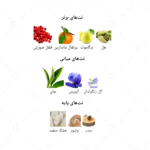 ادکلن زنانه امیزینگ جانوین