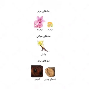 ادکلن زنانه ابسولوت نویر جانوین