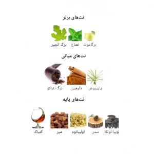  ادکلن مردانه آمبر د نویر جانوین