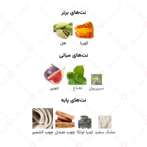 ادکلن یونیسکس چپتر ۱ اجمل