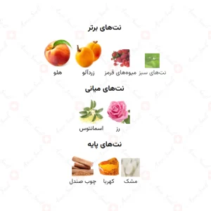 ادکلن یونیسکس چپتر ۳ اجمل