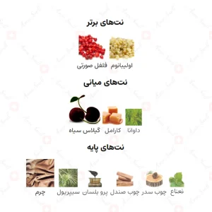 ادکلن یونیسکس چپتر ۴ اجمل 