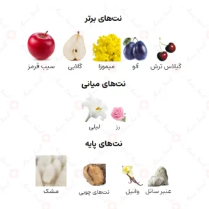ادکلن زنانه جید اجمل