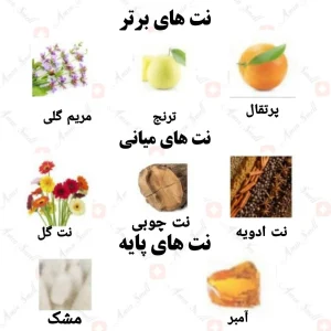 ادکلن مردانه آمبیشن رصاصی