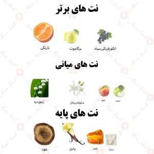 ادکلن زنانه اشعار پور فم رصاصی