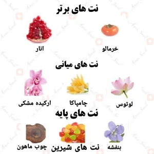ادکلن زنانه بابلی گال رصاصی