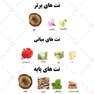  ادکلن مردانه فقط للرجال رصاصی