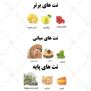 ادکلن مردانه فتان رصاصی