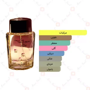 ادکلن یونیسکس فایتینگ تمپتیشن رصاصی