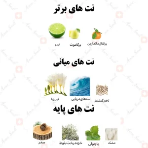ادکلن یونیسکس فایتینگ تمپتیشن رصاصی