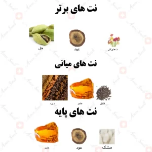 ادکلن مردانه جنون لدر پوم هوم رصاصی
