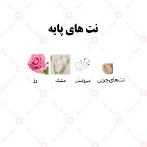 ادکلن مردانه جنون ساتین رصاصی