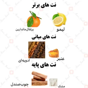 ادکلن مردانه کن مختلفا رصاصی