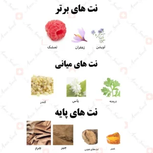 ادکلن مردانه لایقاوم هوم رصاصی