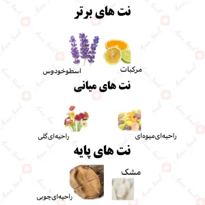 ادکلن یونیسکس محیوبا رصاصی
