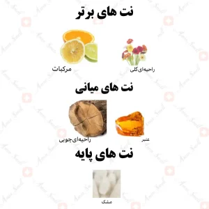 ادکلن یونیسکس مزرکش رصاصی