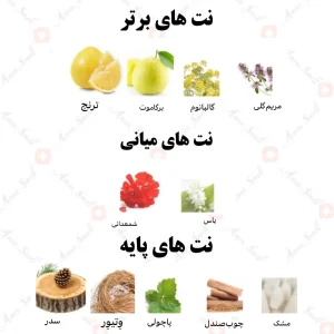 ادکلن یونیسکس عود المسک رصاصی