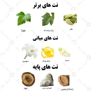 ادکلن یونیسکس عود الرغدا رصاصی