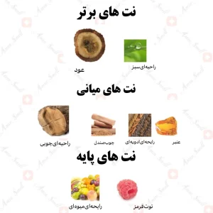  ادکلن یونیسکس عود المثالی الرصاصی 