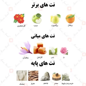 ادکلن یونیسکس قشمات بریق رصاصی