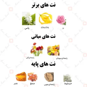 ادکلن زنانه رانیا رصاصی