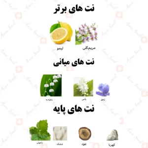 ادکلن زنانه شهره پور فم رصاصی