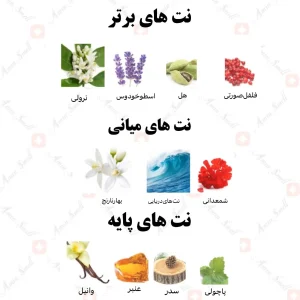 ادکلن یونیسکس سطور طا رصاصی 