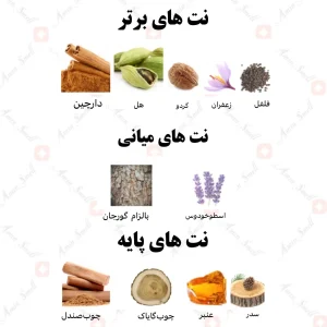 ادکلن یونیسکس سطور واو رصاصی