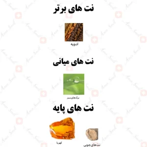 ادکلن زنانه ترولی رصاصی