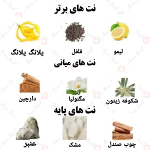 ادکلن زنانه ونیتی رصاصی