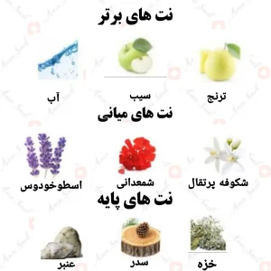ادکلن مردانه نومرو دو رصاصی