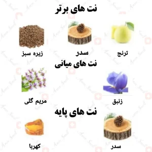 ادکلن مردانه نومرو یونو رصاصی 