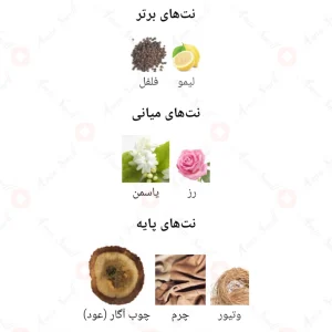 ادکلن مردانه اریستوکرات اجمل