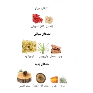 ادکلن مردانه بنت ابسولوت فور من جانوین