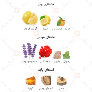 ادکلن مردانه ونتانا پور هوم آرماف