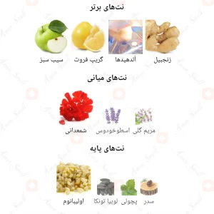 ادکلن مردانه کانسوئر آرماف