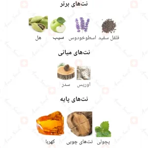 ادکلن یونیسکس امبر وود اجمل