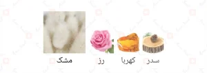 ادکلن یونیسکس آمبر ماسک اجمل