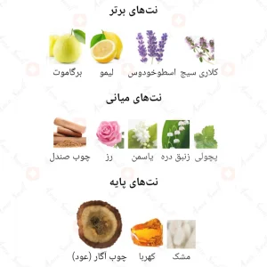 ادکلن یونیسکس امیر وان اجمل